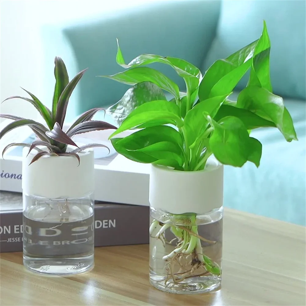 Hydroponic Grow Pod - Mini Hydroponic Flower Pot Transparent Soilless