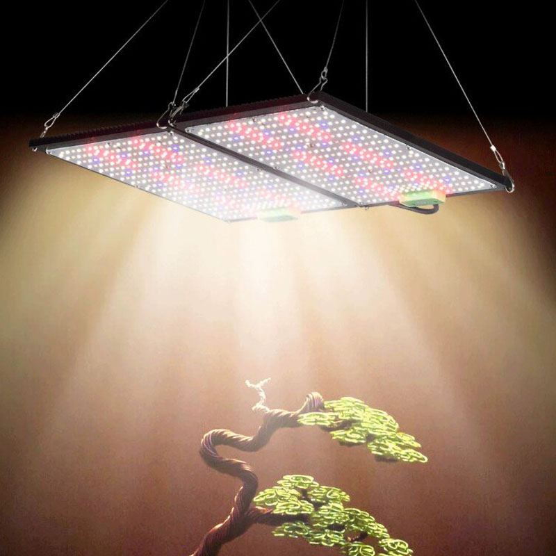LED Quantum‑Board Grow Light F - Grow Light Led recension och pris