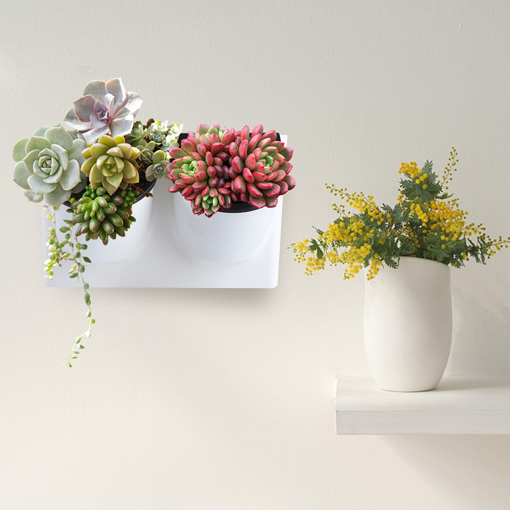 Self Watering Flower Pot Plast - Self Watering Planter recension och pris