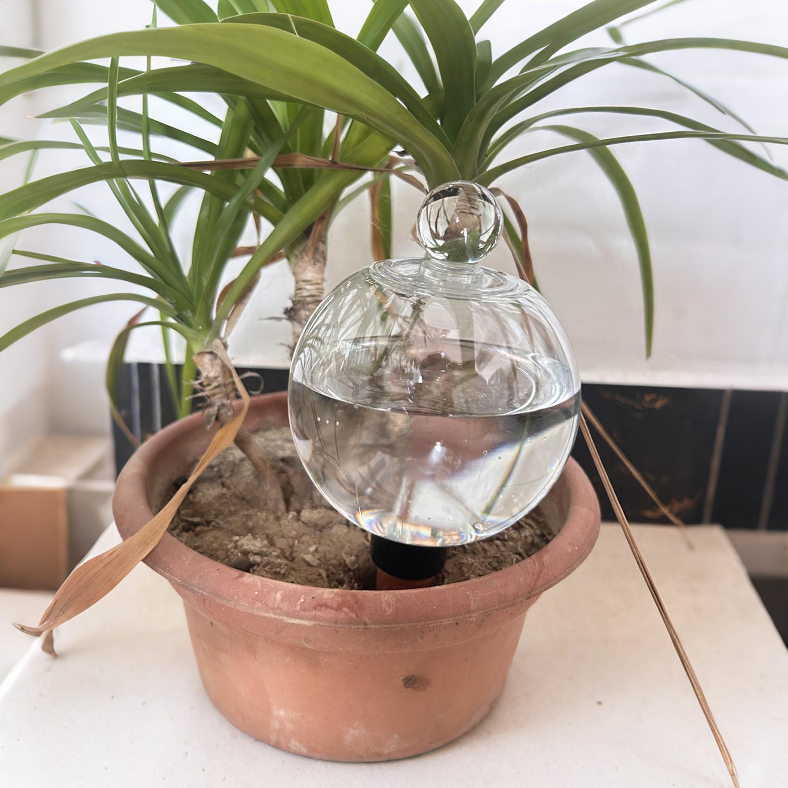 Plant Watering Bulbs 4pcs 500m - Plant Sensor recension och pris