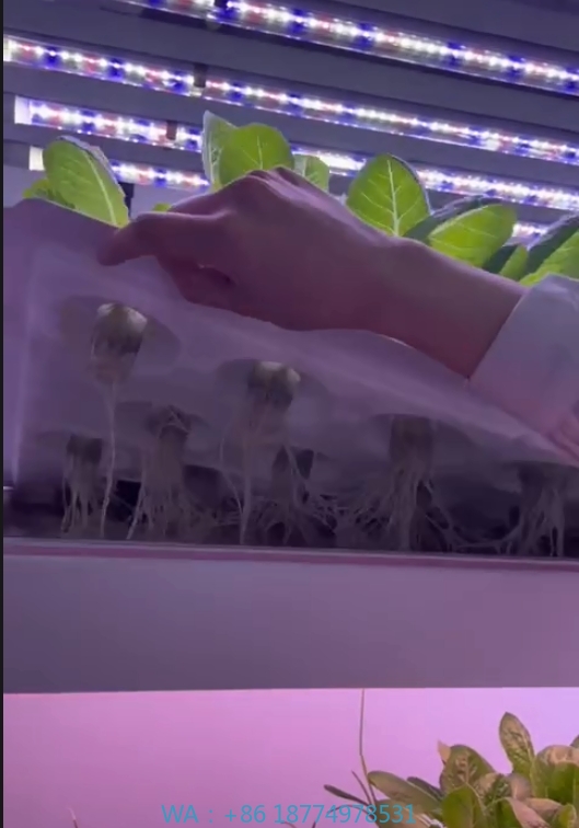 f Greenhouse Agricultural Equi - Hydroponic Tower recension och pris