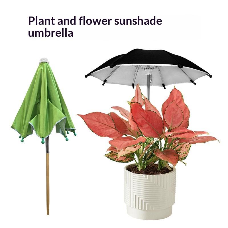 Adjustable Height Plant Umbrel - Plant Monitor recension och pris