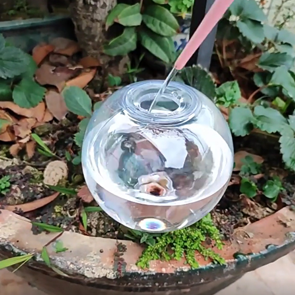 500ML Self Watering Globes Dri - Self Watering Planter recension och pris