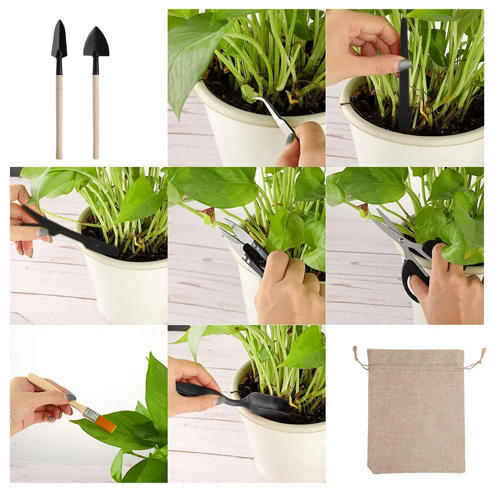 13PCS Succulent Plants Tool Se - Indoor Garden Kit recension och pris