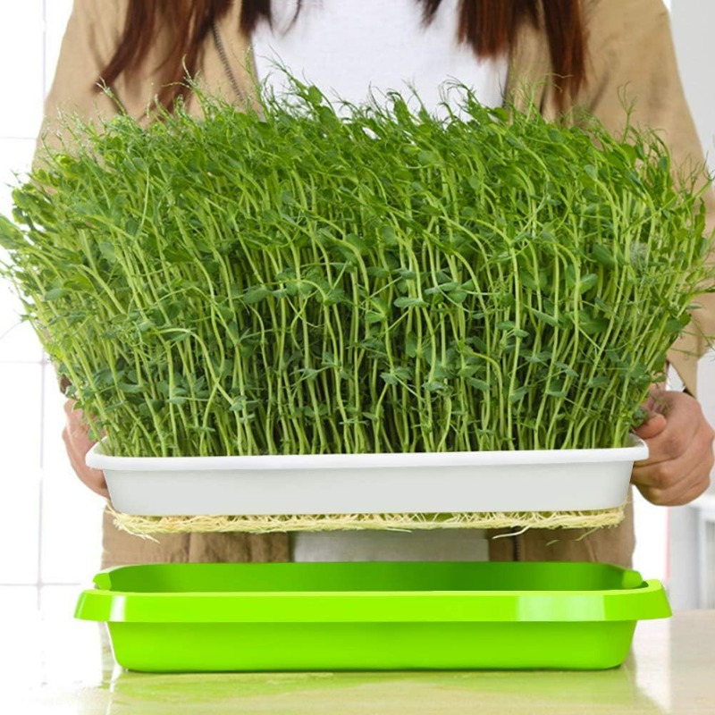 Microgreens Sprout Tray Germin - Hydroponic Grow Pod recension och pris
