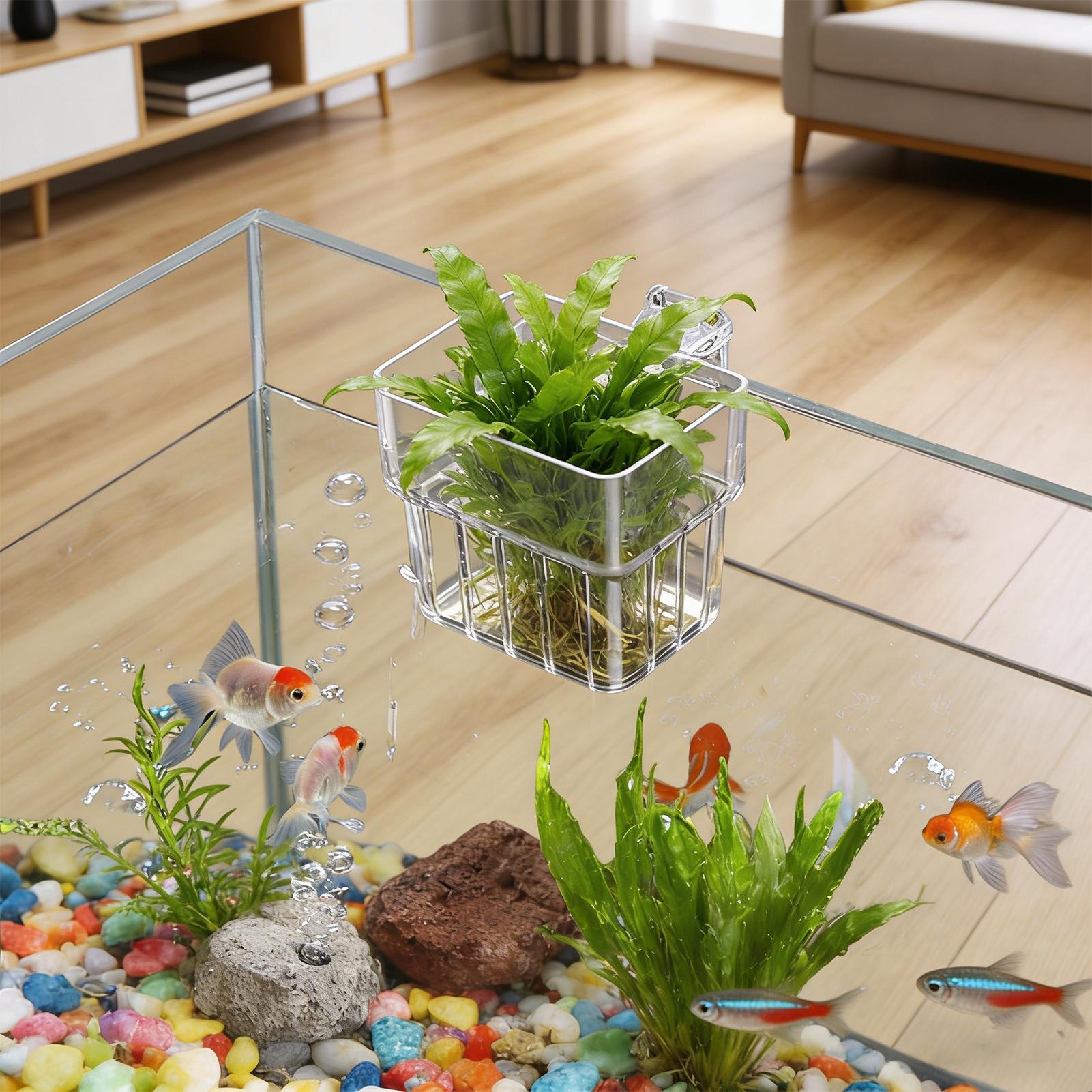 Aquarium Transparent Hanger Po - Hydroponic Grow Pod recension och pris
