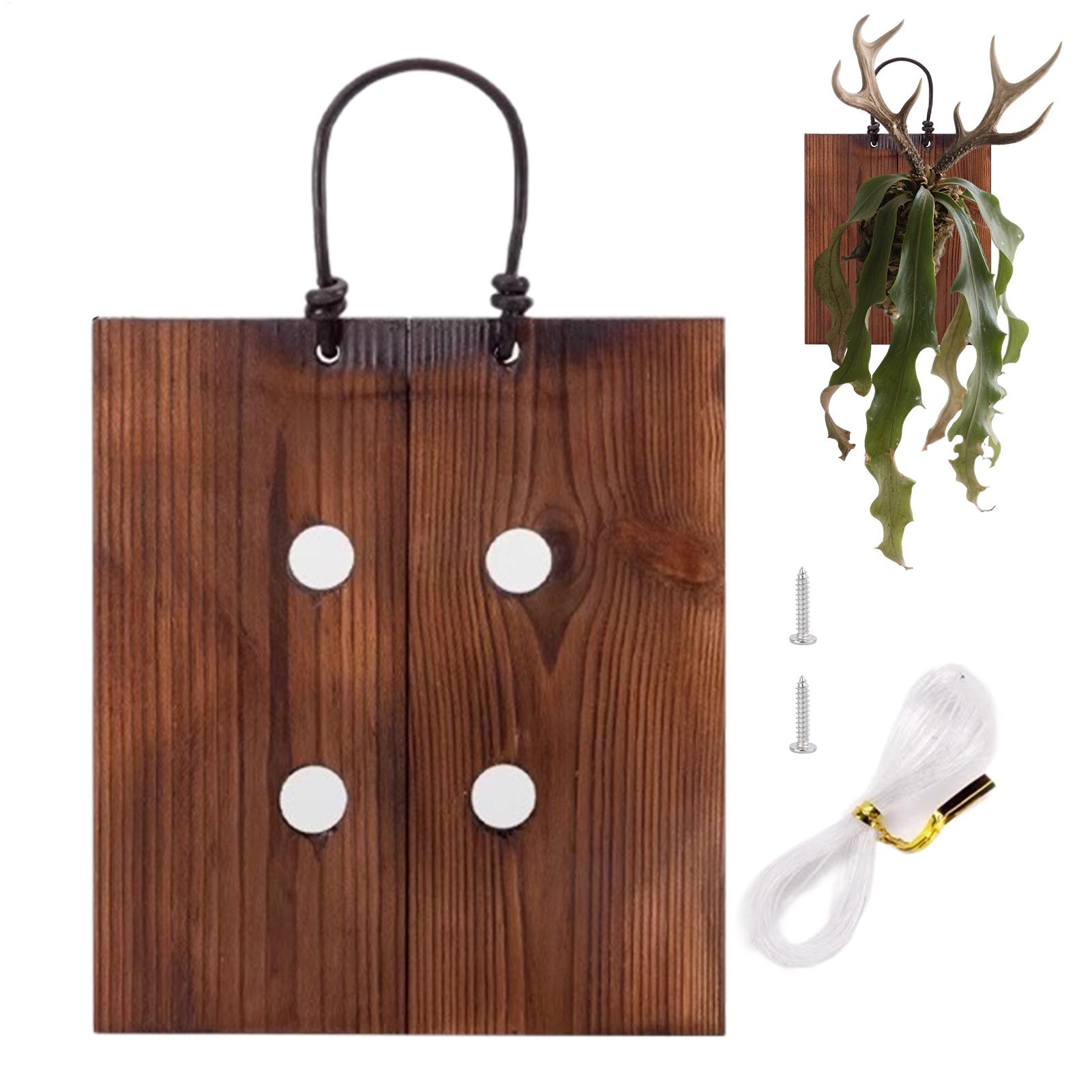 Staghorn Fern Wall Mount Board - Indoor Garden Kit recension och pris
